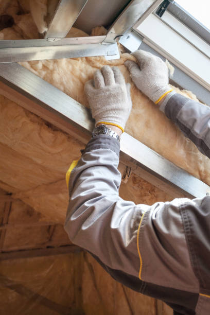 Types of Insulation We Offer in Mesquite, NV