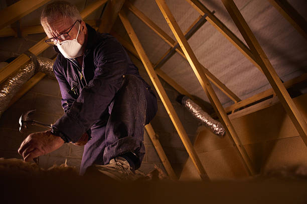Best Cellulose Insulation in Mesquite, NV